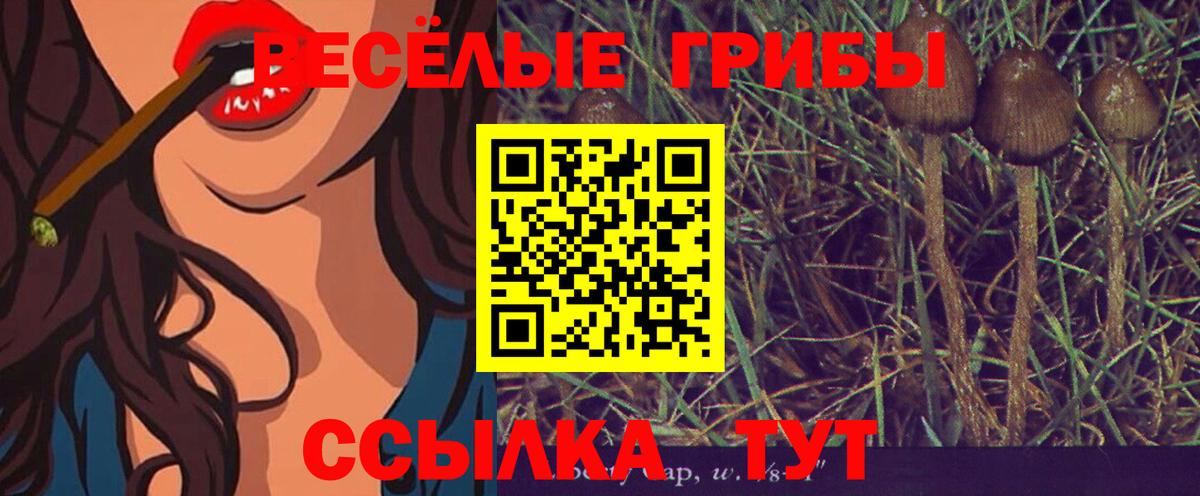 Пушкино  цены наркотик  Вход с VPN  Галлюциногенные грибы MAGIC MUSHROOMS 