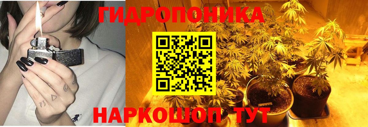 Пушкино  Бошки Шишки сатива  Вход с VPN  Каннабис индика  Бошки марихуана план 
